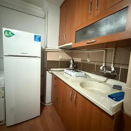 With Kitchen In The Center Apartment *