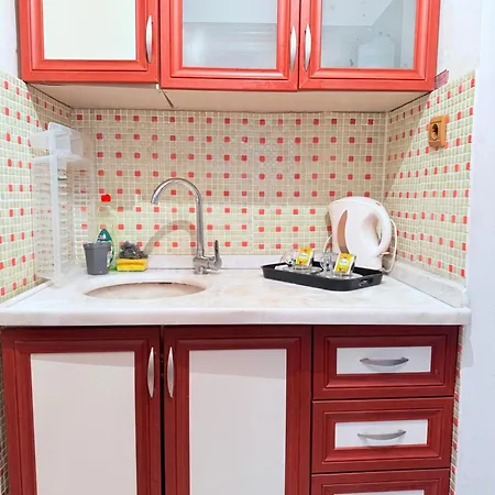 Apartment With Kitchen In The Center Ankara